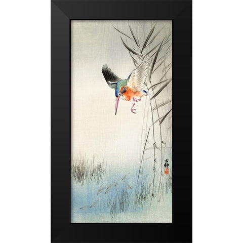 Kingfisher hunting for fish in the water Black Modern Wood Framed Art Print by Koson, Ohara