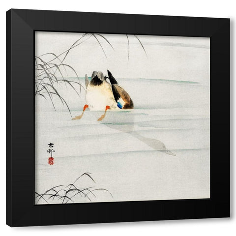 Mallard, the head under water Black Modern Wood Framed Art Print by Koson, Ohara