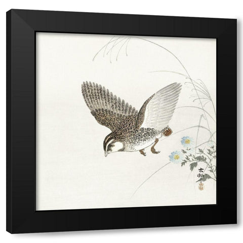 Flying quail Black Modern Wood Framed Art Print by Koson, Ohara