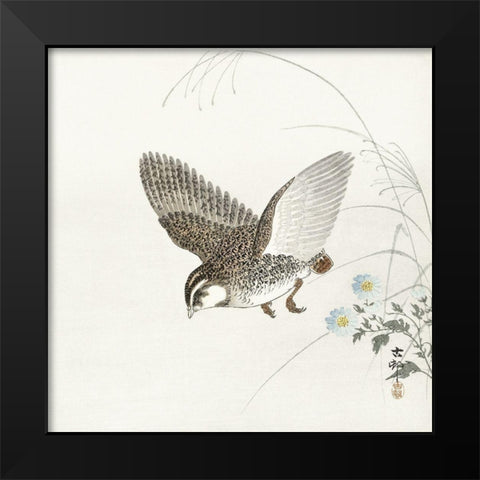 Flying quail Black Modern Wood Framed Art Print by Koson, Ohara