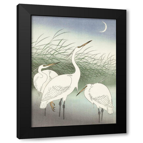 Herons in shallow water Black Modern Wood Framed Art Print by Koson, Ohara
