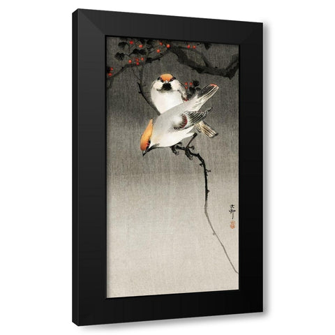 Bohemian waxwing birds Black Modern Wood Framed Art Print by Koson, Ohara