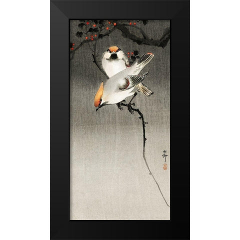 Bohemian waxwing birds Black Modern Wood Framed Art Print by Koson, Ohara