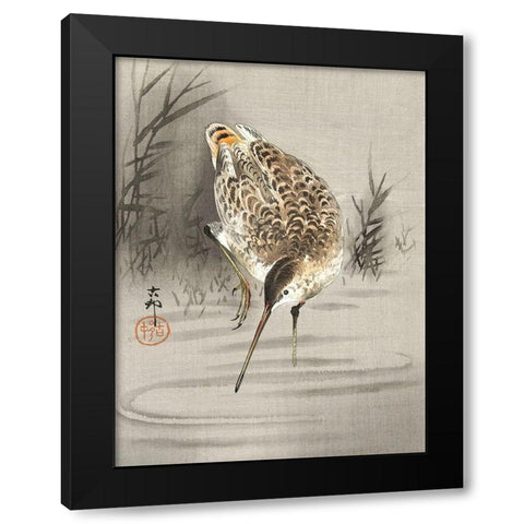 Snipe in the water Black Modern Wood Framed Art Print by Koson, Ohara