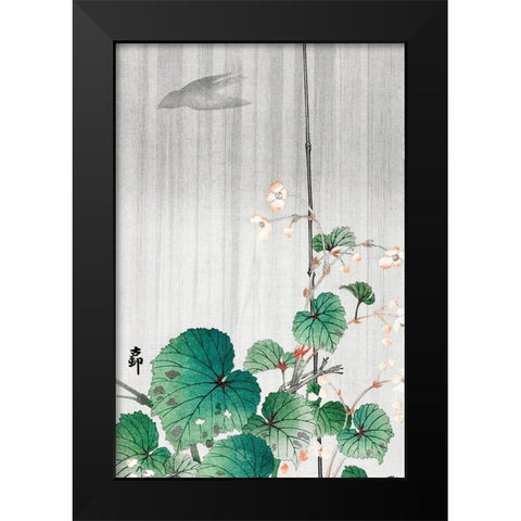Begonia in the rainÂ  Black Modern Wood Framed Art Print by Koson, Ohara