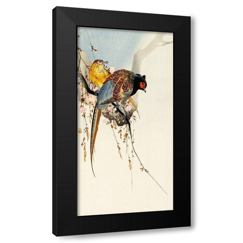 Pheasant couple and plum blossom Black Modern Wood Framed Art Print by Koson, Ohara