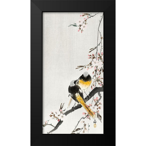Two sable red tails with cherry blossom Black Modern Wood Framed Art Print by Koson, Ohara