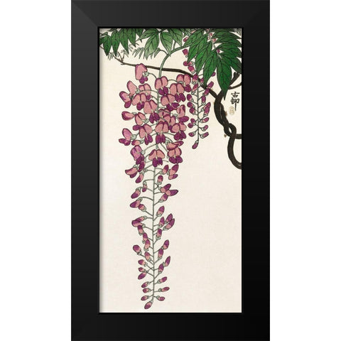 Blooming wisteria Black Modern Wood Framed Art Print by Koson, Ohara