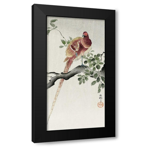 Copper pheasant Black Modern Wood Framed Art Print with Double Matting by Koson, Ohara