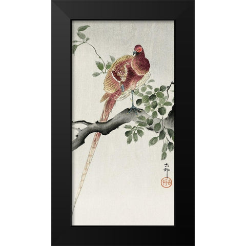 Copper pheasant Black Modern Wood Framed Art Print by Koson, Ohara