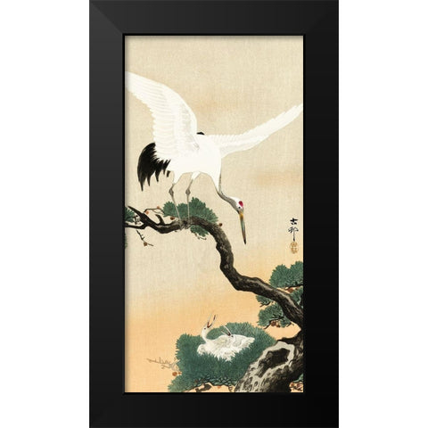 Japanese crane bird on branch of pine Black Modern Wood Framed Art Print by Koson, Ohara