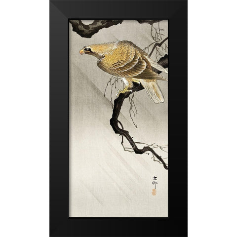 Eagle on branch Black Modern Wood Framed Art Print by Koson, Ohara