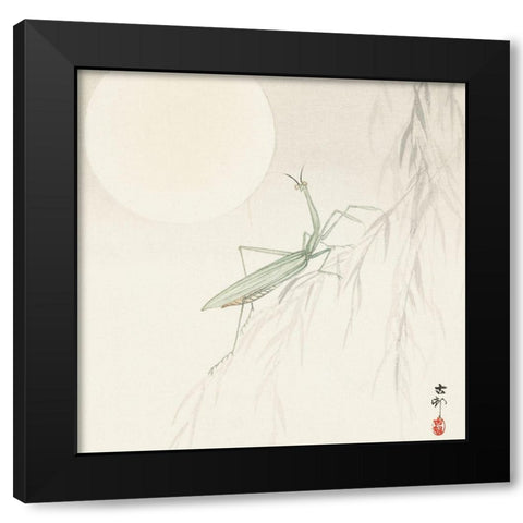 Praying mantis Black Modern Wood Framed Art Print with Double Matting by Koson, Ohara