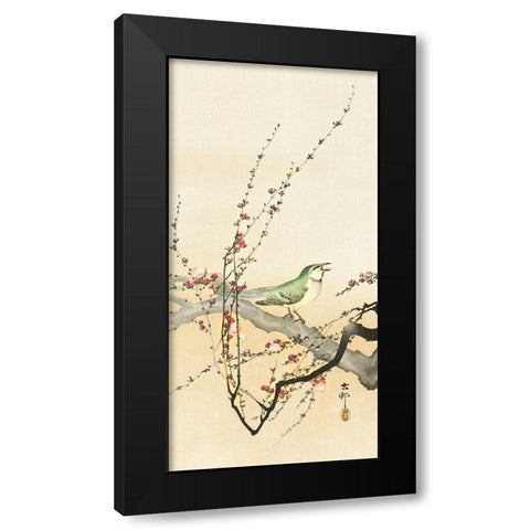 Songbird and plum blossom Black Modern Wood Framed Art Print with Double Matting by Koson, Ohara