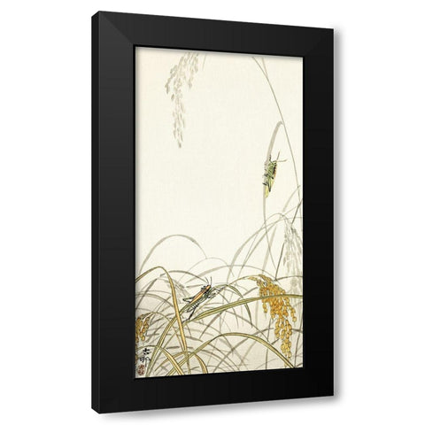 Grasshoppers on rice plants Black Modern Wood Framed Art Print with Double Matting by Koson, Ohara