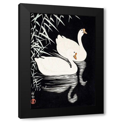 White Chinese Geese Swimming by Reeds Black Modern Wood Framed Art Print with Double Matting by Koson, Ohara