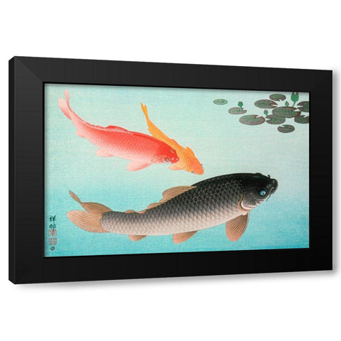 Common and Golden Carp Black Modern Wood Framed Art Print with Double Matting by Koson, Ohara