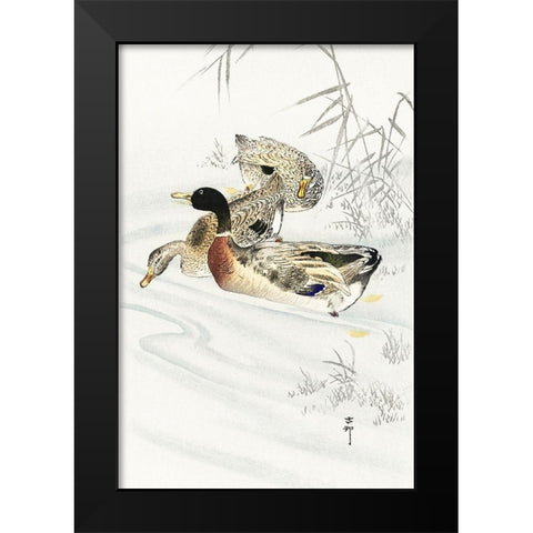Three ducks in shallow water with reeds Black Modern Wood Framed Art Print by Koson, Ohara