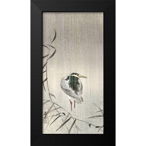Kwak in rain Black Modern Wood Framed Art Print by Koson, Ohara