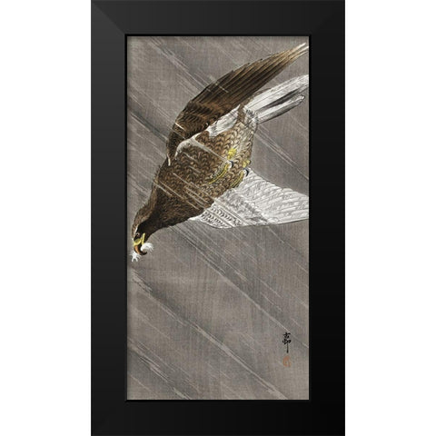 Downward flying eagle Black Modern Wood Framed Art Print by Koson, Ohara