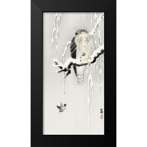 Hawk with captured ring sparrow Black Modern Wood Framed Art Print by Koson, Ohara