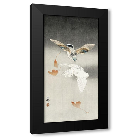 Two pigeons with falling ginkgo leaves Black Modern Wood Framed Art Print with Double Matting by Koson, Ohara