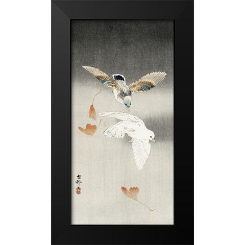 Two pigeons with falling ginkgo leaves Black Modern Wood Framed Art Print by Koson, Ohara