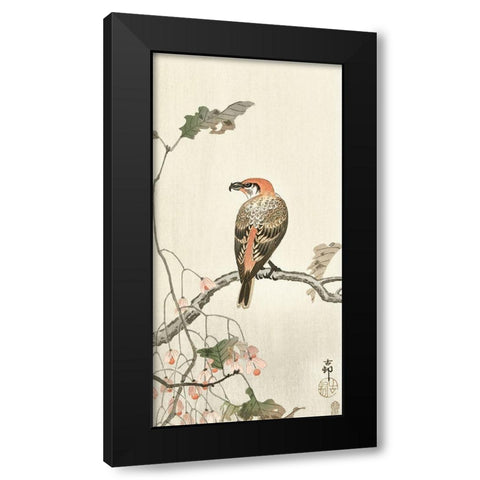 Crossbill on tree branch Black Modern Wood Framed Art Print by Koson, Ohara