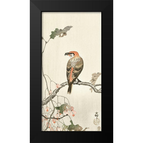 Crossbill on tree branch Black Modern Wood Framed Art Print by Koson, Ohara