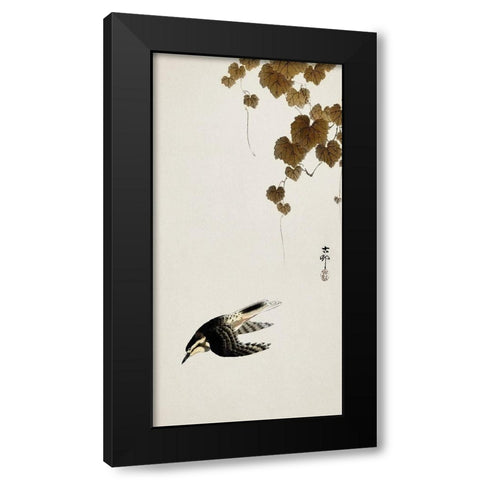Bird in downward flight Black Modern Wood Framed Art Print with Double Matting by Koson, Ohara