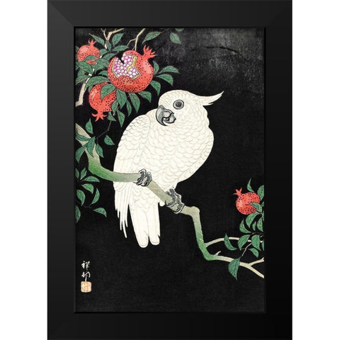 Cockatoo and Pomegranate Black Modern Wood Framed Art Print by Koson, Ohara