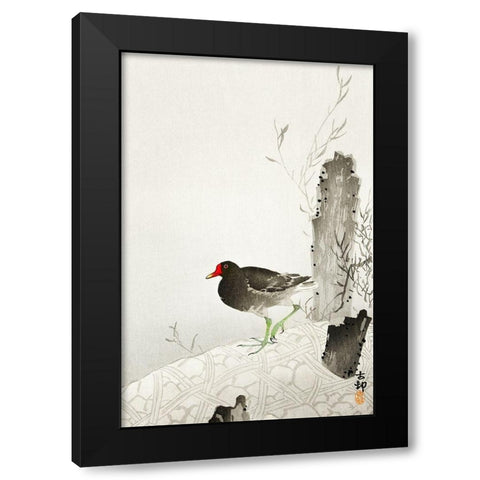 Moorhen Black Modern Wood Framed Art Print by Koson, Ohara
