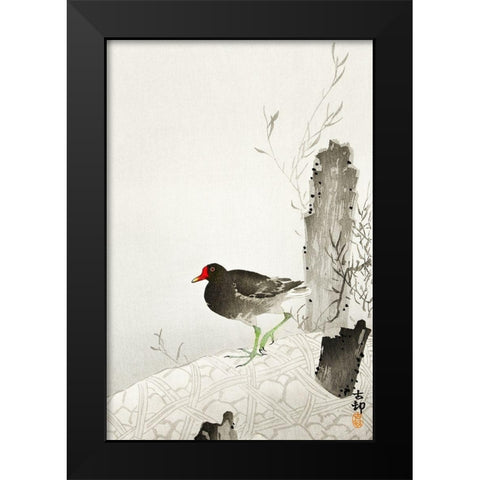 Moorhen Black Modern Wood Framed Art Print by Koson, Ohara