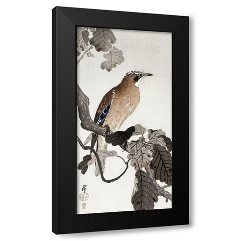 Jay on tree branch Black Modern Wood Framed Art Print with Double Matting by Koson, Ohara