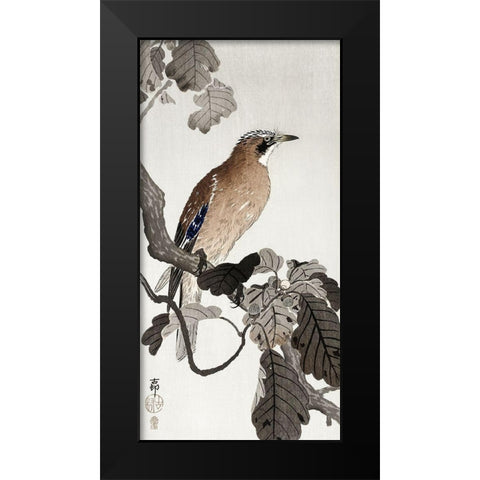 Jay on tree branch Black Modern Wood Framed Art Print by Koson, Ohara
