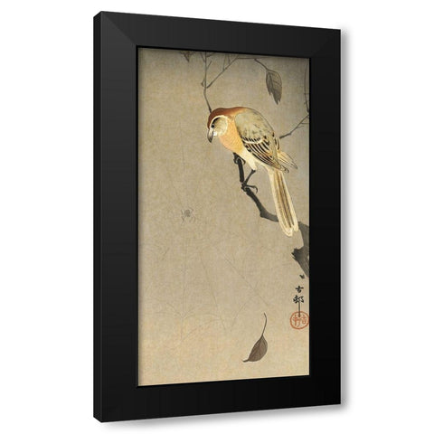 Buffalo wing shrike and spider Black Modern Wood Framed Art Print by Koson, Ohara