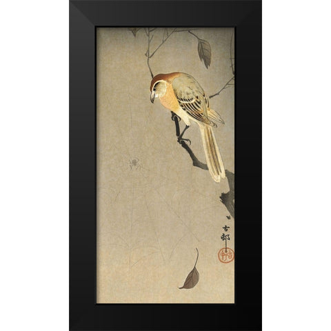 Buffalo wing shrike and spider Black Modern Wood Framed Art Print by Koson, Ohara