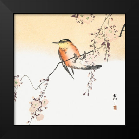 Songbird and Blossoming Cherry Black Modern Wood Framed Art Print by Koson, Ohara