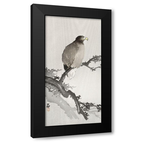 White-tailed eagle on branch Black Modern Wood Framed Art Print by Koson, Ohara