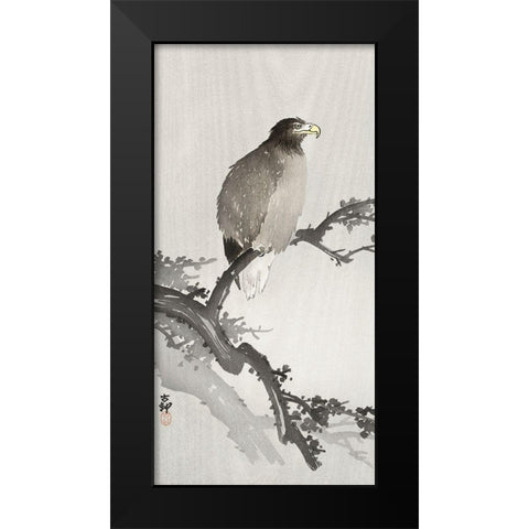 White-tailed eagle on branch Black Modern Wood Framed Art Print by Koson, Ohara