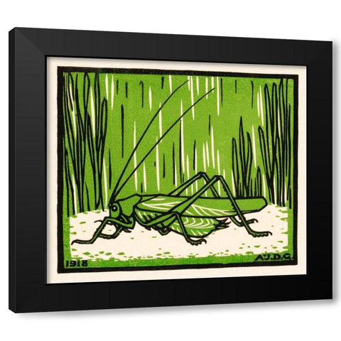 Grasshopper Black Modern Wood Framed Art Print with Double Matting by De Graag, Julie