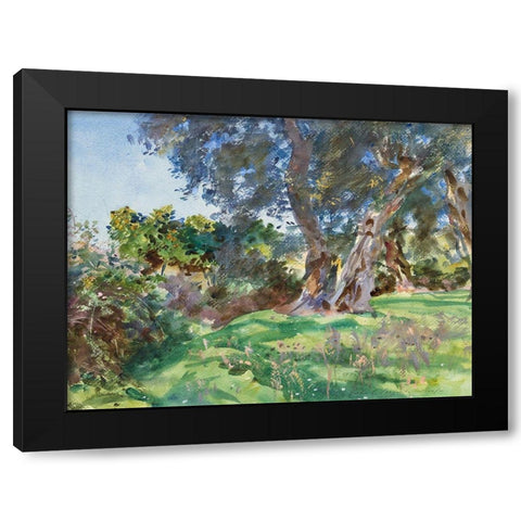 Olive Trees, Corfu Black Modern Wood Framed Art Print by Sargent, John Singer