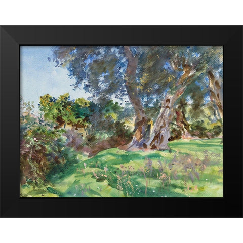 Olive Trees, Corfu Black Modern Wood Framed Art Print by Sargent, John Singer