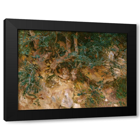 Valdemosa, Majorca: Thistles and Herbage on a Hillside Black Modern Wood Framed Art Print with Double Matting by Sargent, John Singer