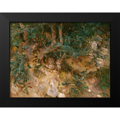 Valdemosa, Majorca: Thistles and Herbage on a Hillside Black Modern Wood Framed Art Print by Sargent, John Singer