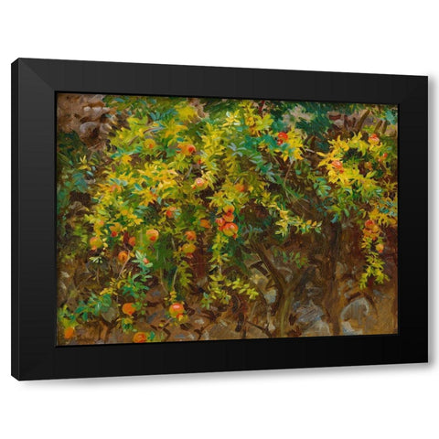 Pomegrantes, Majorca, 1908 Black Modern Wood Framed Art Print with Double Matting by Sargent, John Singer