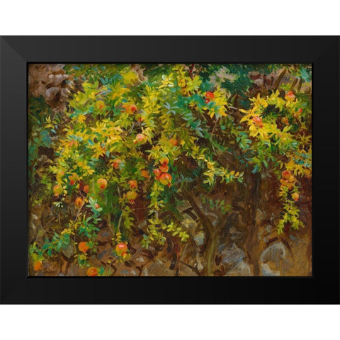 Pomegrantes, Majorca, 1908 Black Modern Wood Framed Art Print by Sargent, John Singer