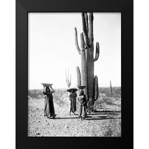 Saguaro gatherers, Maricopa, Arizona, ca. 1907 Black Modern Wood Framed Art Print by Curtis, Edward