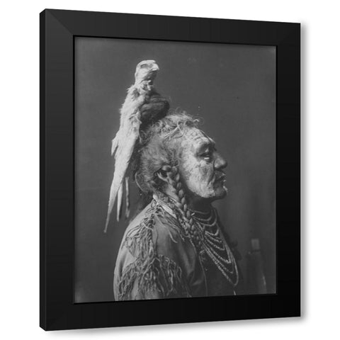 Two Whistles, Apsaroke Black Modern Wood Framed Art Print by Curtis, Edward