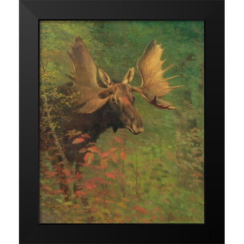 Study of a moose Black Modern Wood Framed Art Print by Bierstadt, Albert